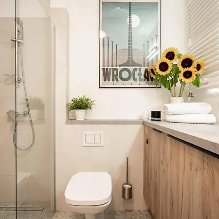 شقة فندقية Art Nad Olawa 3*